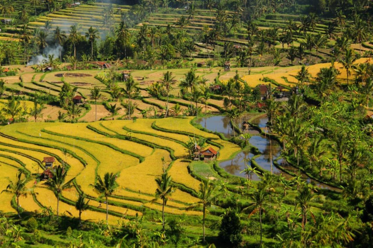 Singaraja Bali Munduk Delux Bungalow Villa מראה חיצוני תמונה