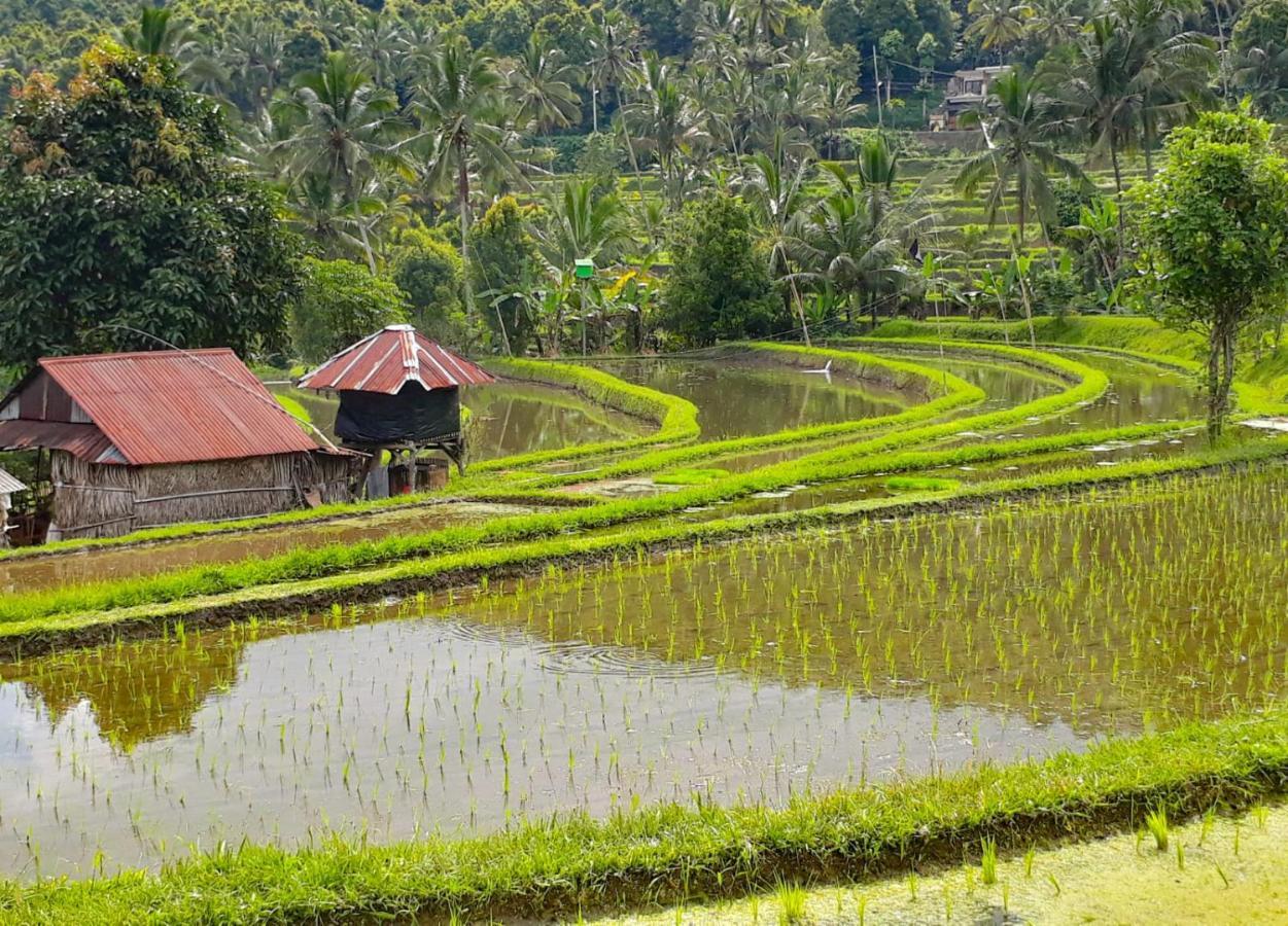 Singaraja Bali Munduk Delux Bungalow Villa מראה חיצוני תמונה