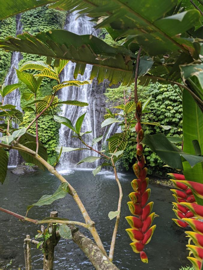 Singaraja Bali Munduk Delux Bungalow Villa מראה חיצוני תמונה