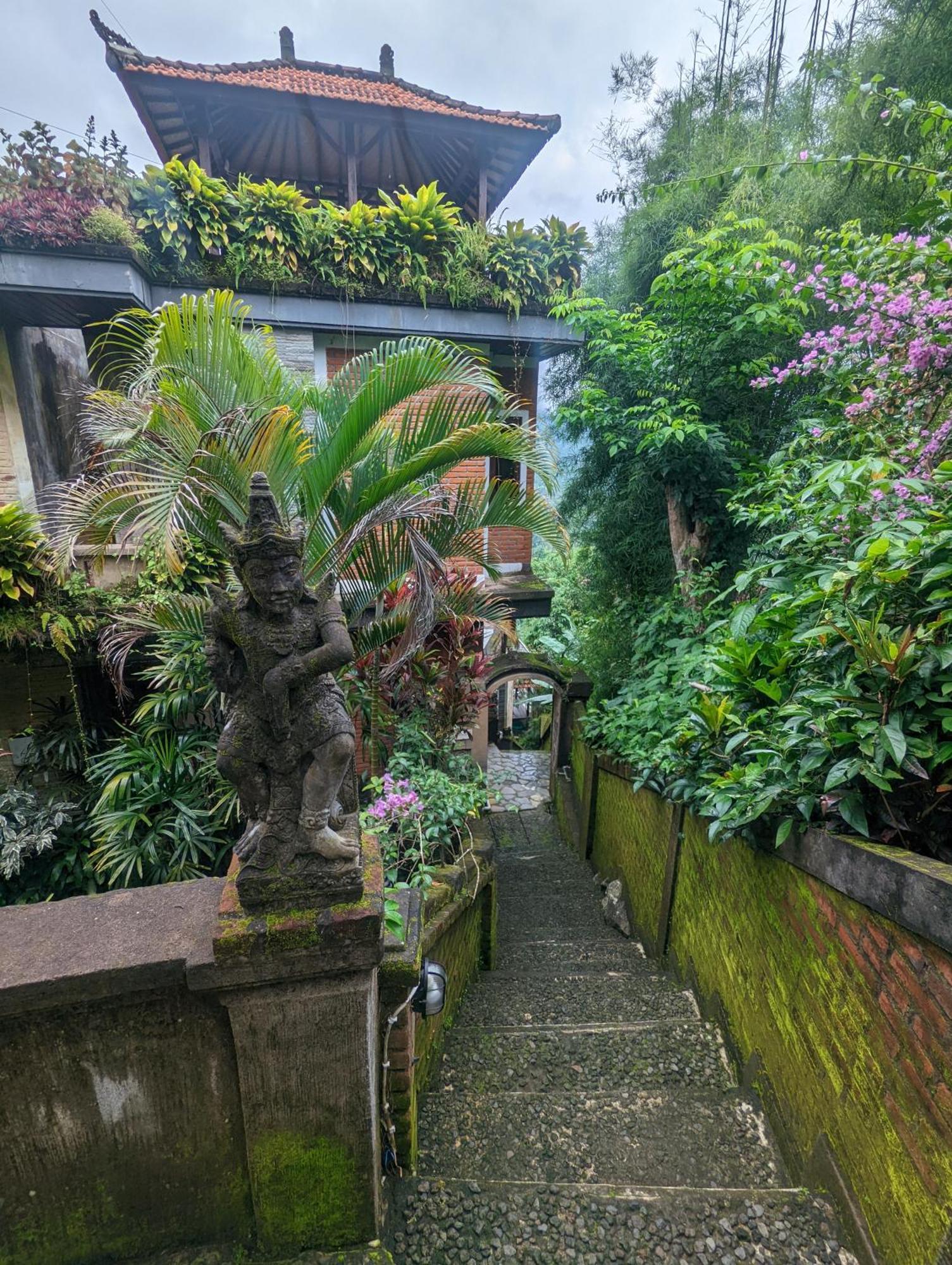 Singaraja Bali Munduk Delux Bungalow Villa מראה חיצוני תמונה