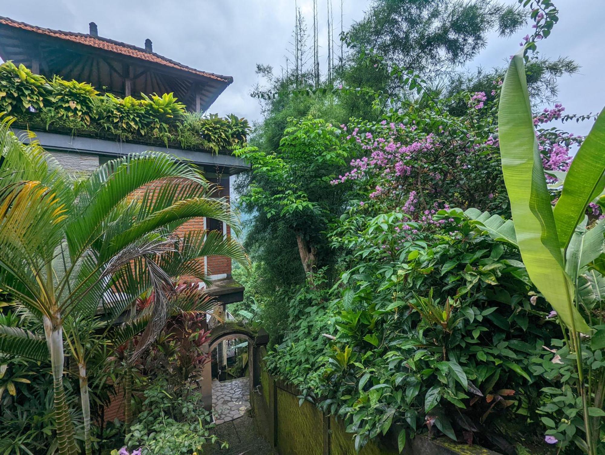 Singaraja Bali Munduk Delux Bungalow Villa מראה חיצוני תמונה