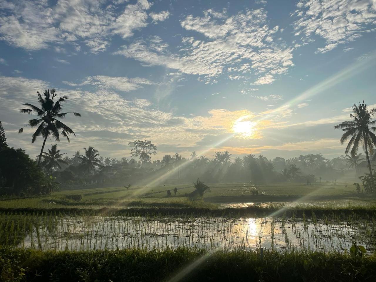 Singaraja Bali Munduk Delux Bungalow Villa מראה חיצוני תמונה